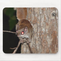 Ardilla de vuelo Mousepad