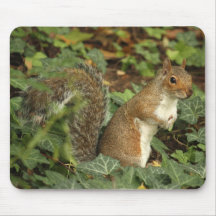 Ardilla Mousepad