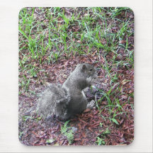 Ardilla Mousepad Alfombrilla De Ratón