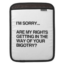 ARE MY RIGHTS GETTING IN THE WAY iPad SLEEVES