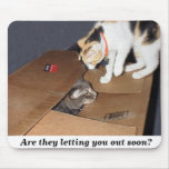 Are they letting you out soon? mousepads