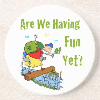 Are We Having Fun Yet? Coaster coaster
