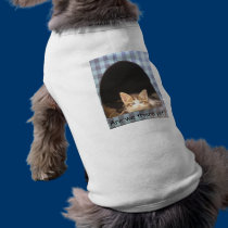 Are we there yet? pet clothing
