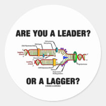 Are You A Leader? Or A Lagger? (DNA Replication) Round Sticker
