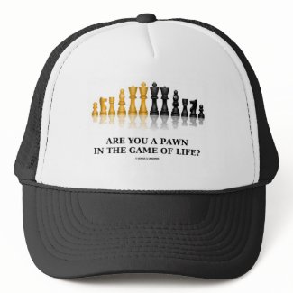 Are You A Pawn In The Game Of Life? (Chess Humor) hat