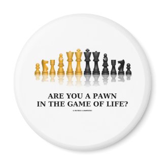 Are You A Pawn In The Game Of Life? (Chess Humor) magnet
