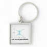 Are You At Equilibrium? (Supply-And-Demand Curve) Key Chain