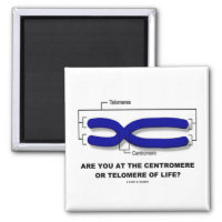Are You At The Centromere Or Telomere Of Life? 2 Inch Square Magnet
