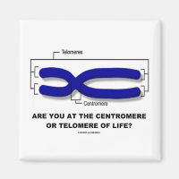 Are You At The Centromere Or Telomere Of Life? 2 Inch Square Magnet