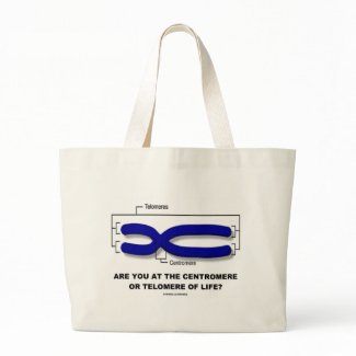 Are You At The Centromere Or Telomere Of Life? bag