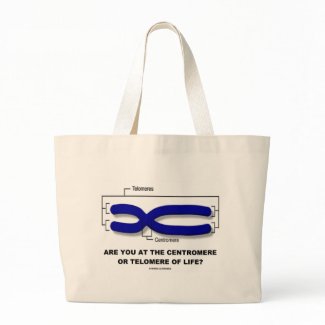 Are You At The Centromere Or Telomere Of Life? bag