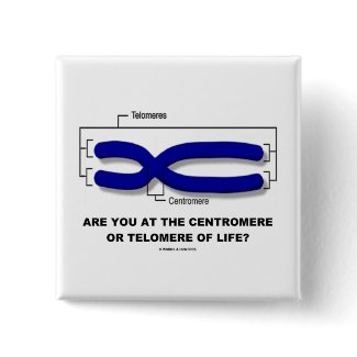 Are You At The Centromere Or Telomere Of Life? button