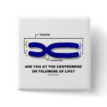 Are You At The Centromere Or Telomere Of Life? Pinback Button