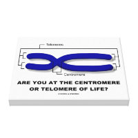 Are You At The Centromere Or Telomere Of Life? Canvas Print