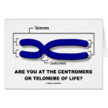 Are You At The Centromere Or Telomere Of Life? Cards