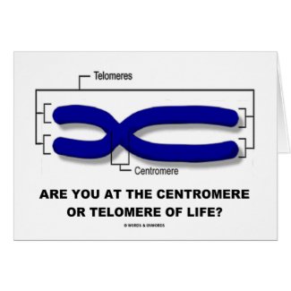 Are You At The Centromere Or Telomere Of Life? card