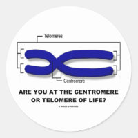 Are You At The Centromere Or Telomere Of Life? Classic Round Sticker