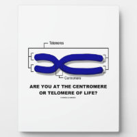 Are You At The Centromere Or Telomere Of Life? Display Plaque