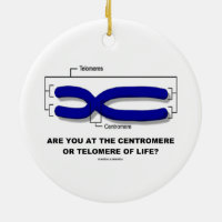 Are You At The Centromere Or Telomere Of Life? Double-Sided Ceramic Round Christmas Ornament