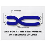 Are You At The Centromere Or Telomere Of Life? flyers