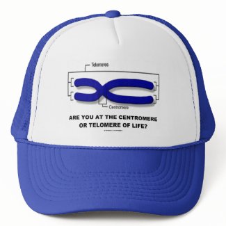 Are You At The Centromere Or Telomere Of Life? hat