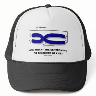 Are You At The Centromere Or Telomere Of Life? hat