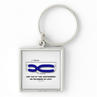Are You At The Centromere Or Telomere Of Life? keychain