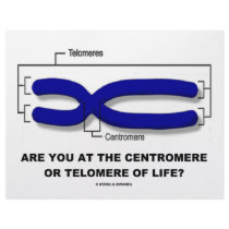 Are You At The Centromere Or Telomere Of Life? letterhead by wordsunwords Are You At The Centromere Or Telomere Of Life? letterhead