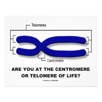Are You At The Centromere Or Telomere Of Life? Letterhead