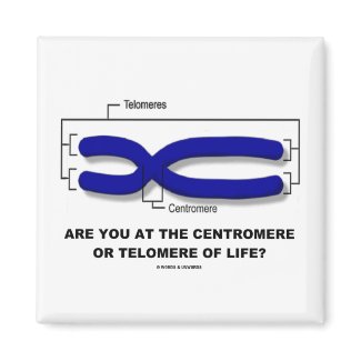 Are You At The Centromere Or Telomere Of Life? magnet