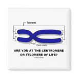 Are You At The Centromere Or Telomere Of Life? Magnet