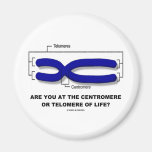 Are You At The Centromere Or Telomere Of Life? Magnet