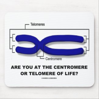 Are You At The Centromere Or Telomere Of Life? mousepad
