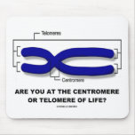 Are You At The Centromere Or Telomere Of Life? Mousepads
