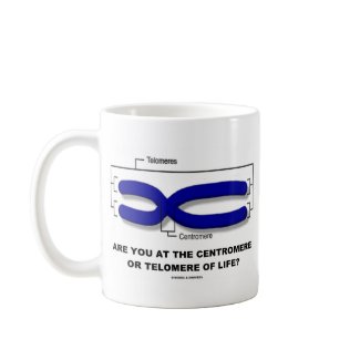 Are You At The Centromere Or Telomere Of Life? mug