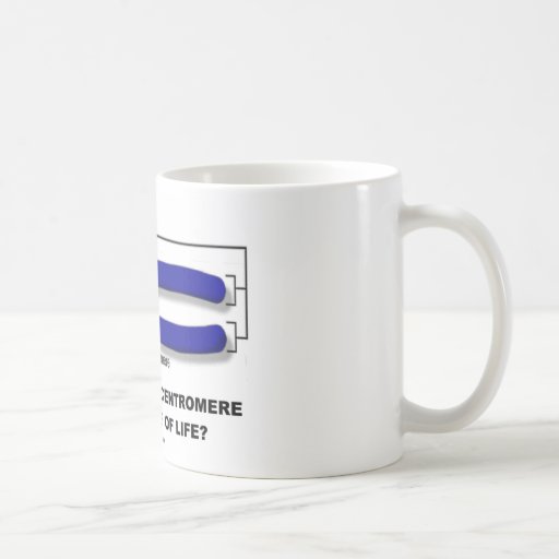 Are You At The Centromere Or Telomere Of Life? Coffee Mugs