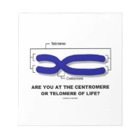 Are You At The Centromere Or Telomere Of Life? Note Pads