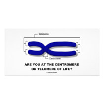 Are You At The Centromere Or Telomere Of Life? photo cards