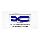 Are You At The Centromere Or Telomere Of Life? Picture Card