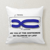 Are You At The Centromere Or Telomere Of Life? Pillow