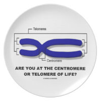 Are You At The Centromere Or Telomere Of Life? Plate