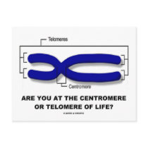 Are You At The Centromere Or Telomere Of Life? Postcards