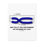 Are You At The Centromere Or Telomere Of Life? Postcard