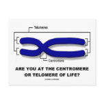 Are You At The Centromere Or Telomere Of Life? Postcard