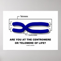 Are You At The Centromere Or Telomere Of Life? Poster