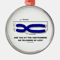 Are You At The Centromere Or Telomere Of Life? Round Metal Christmas Ornament