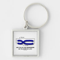 Are You At The Centromere Or Telomere Of Life? Silver-Colored Square Keychain