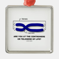 Are You At The Centromere Or Telomere Of Life? Square Metal Christmas Ornament