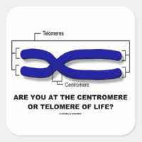 Are You At The Centromere Or Telomere Of Life? Square Sticker