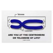 Are You At The Centromere Or Telomere Of Life? stationery